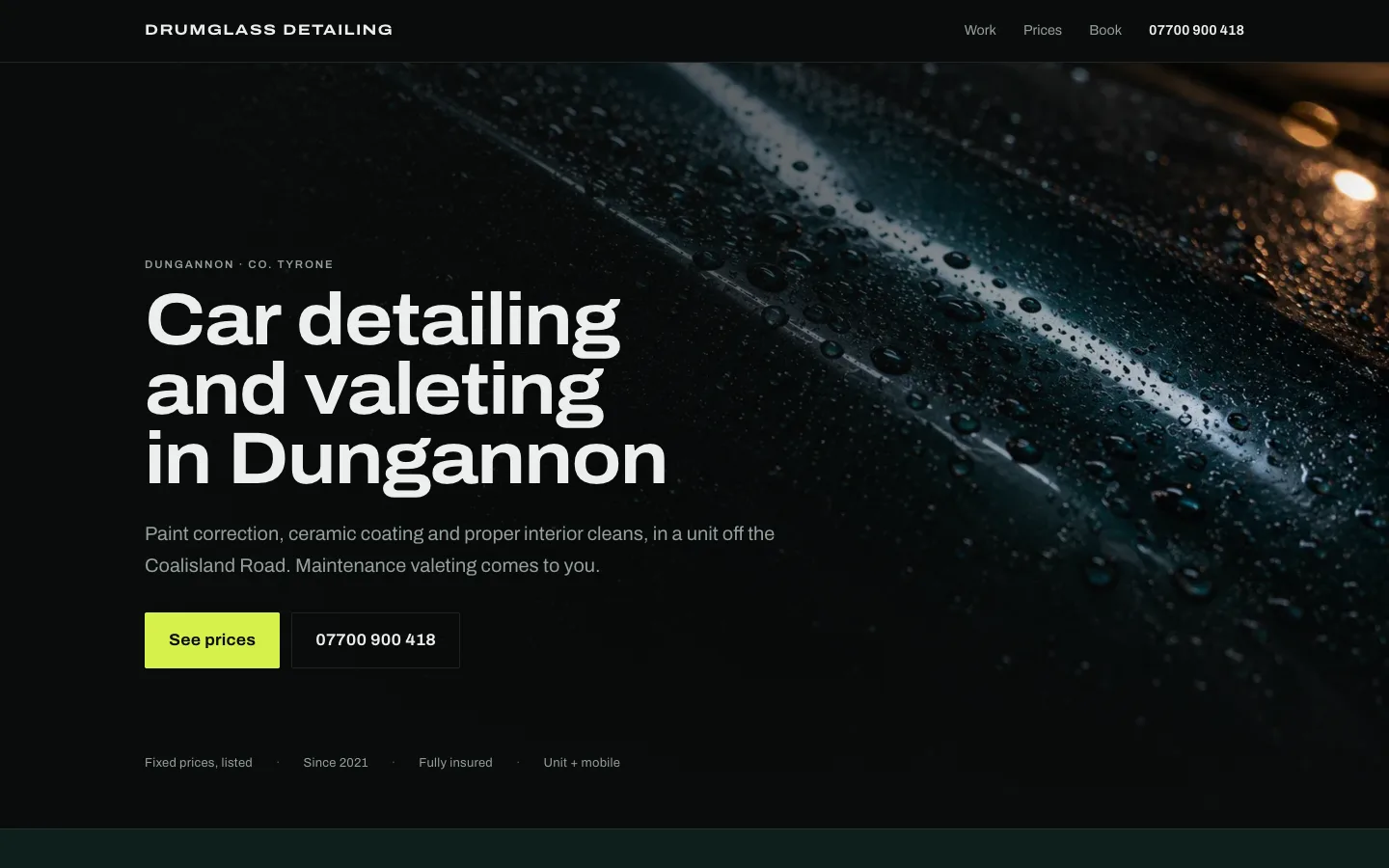Car detailing website design
