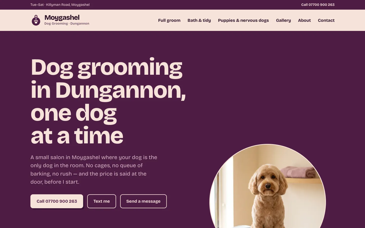 Dog groomer website design