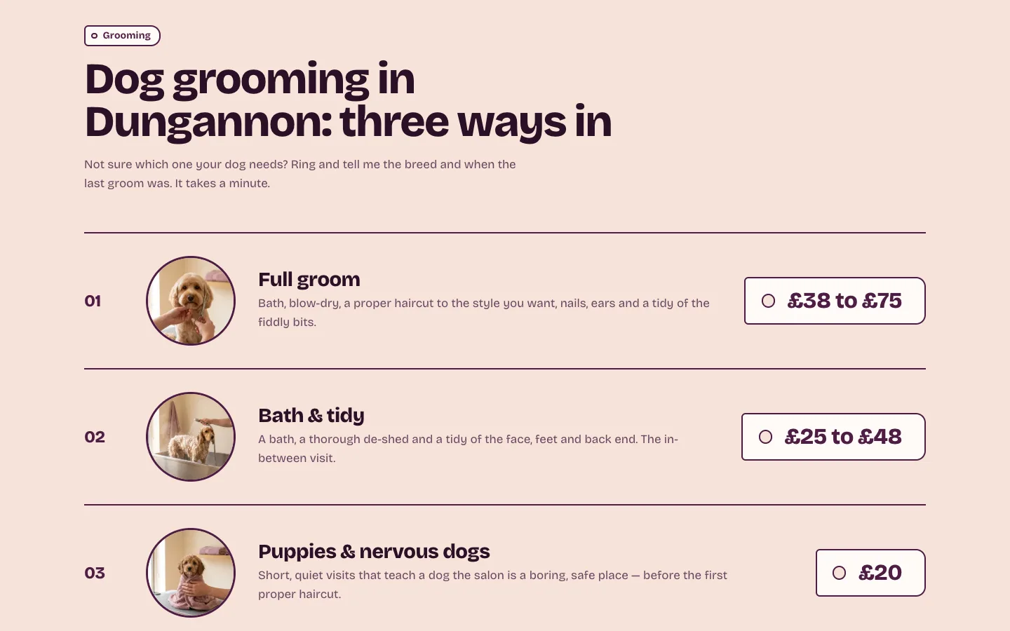 Dog grooming services
